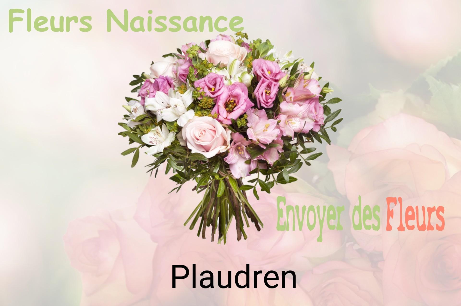 Bouquet de fleurs de naissance livré à Plaudren